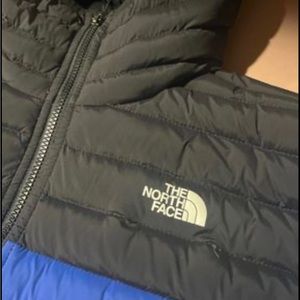North Face Puffer Winter Coat (Lg) Men’s